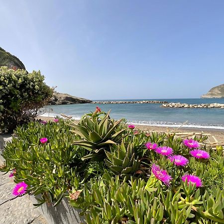 Casa Francesco Seaside Διαμέρισμα Sant'Angelo  Εξωτερικό φωτογραφία
