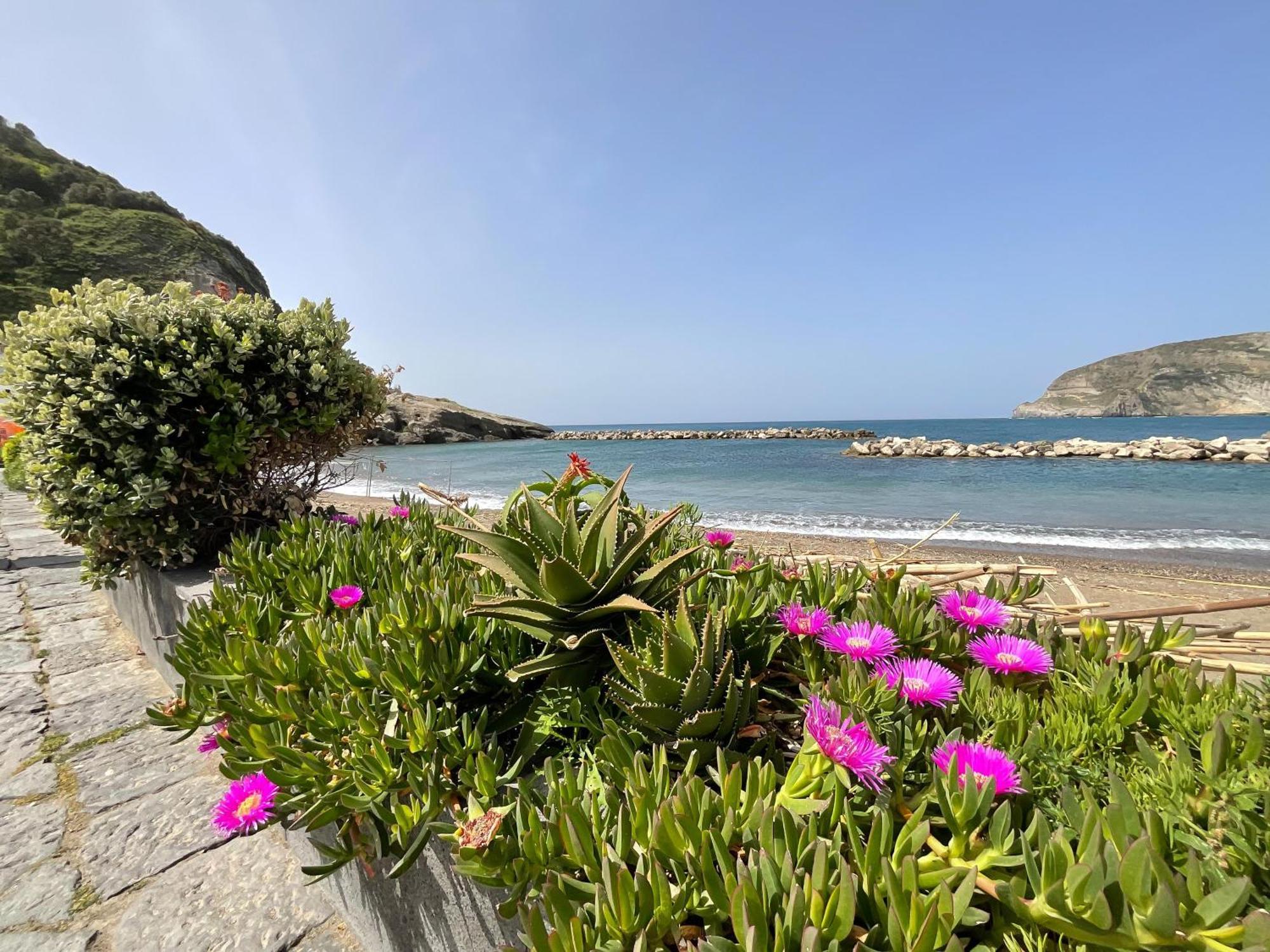 Casa Francesco Seaside Διαμέρισμα Sant'Angelo  Εξωτερικό φωτογραφία